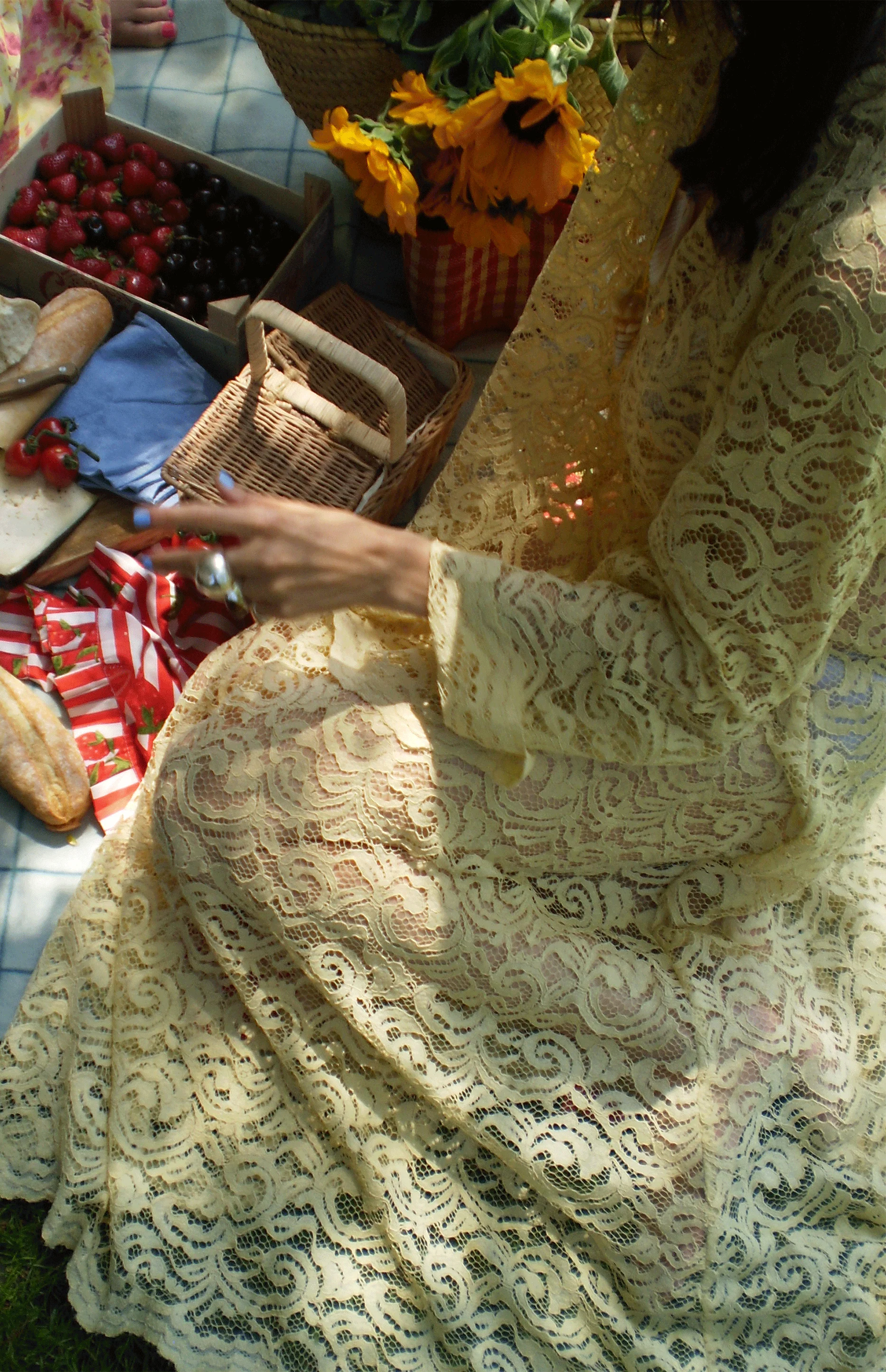 Shams Lace Dress - Image 4